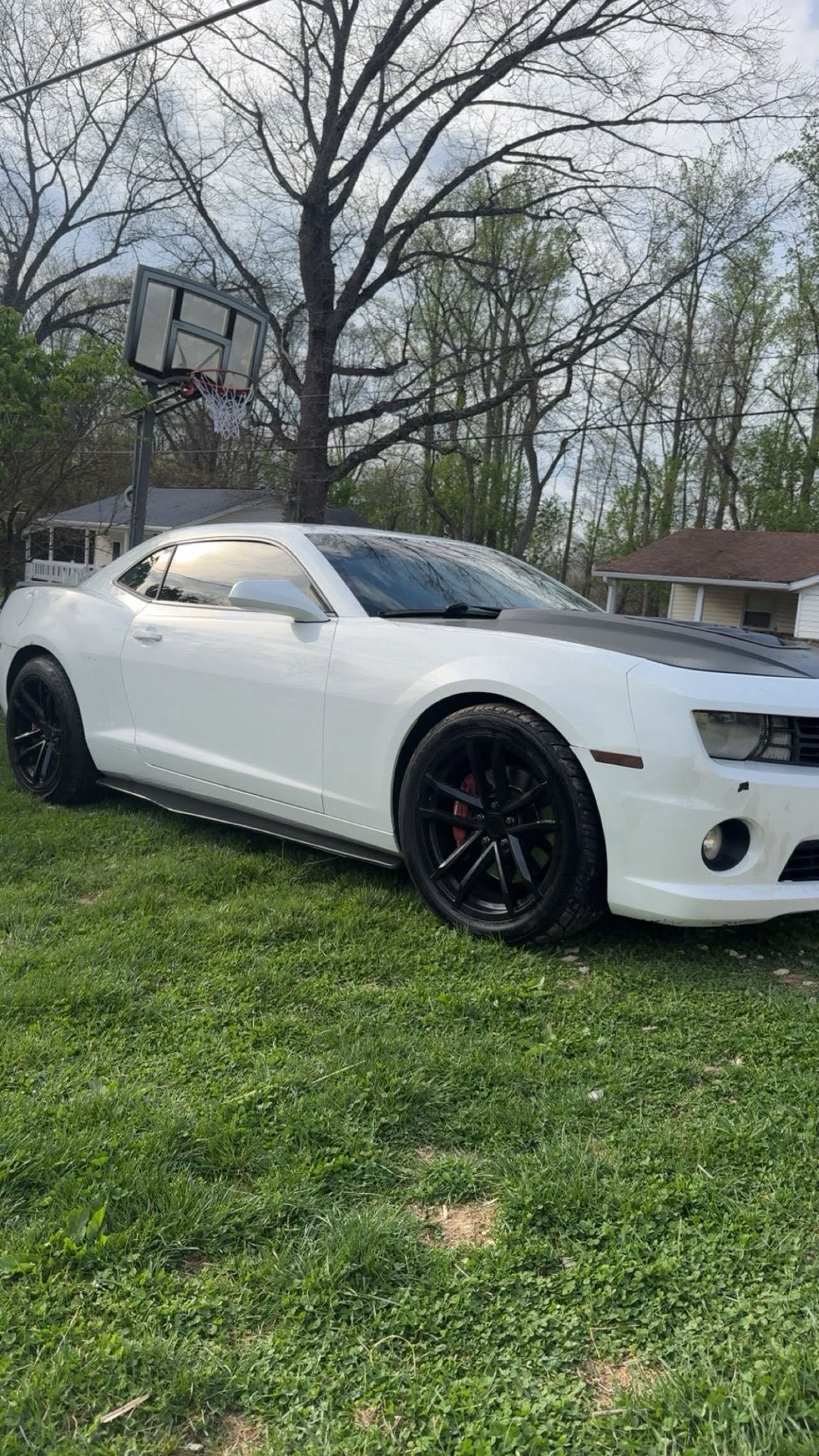 Specialty Vehicle Detailing
